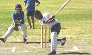 Tjokkers swaai wilgerlat